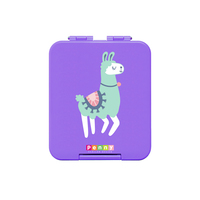 Penny Scallan Small Bento Box - Loopy Llama