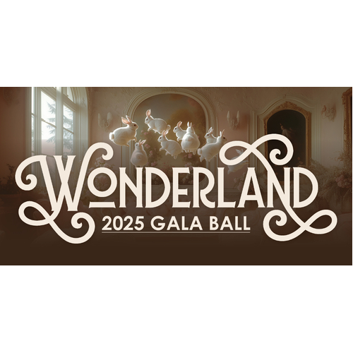 WONDERLAND - Photos